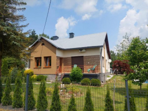 Agroturystyka Noclegi Podlesie